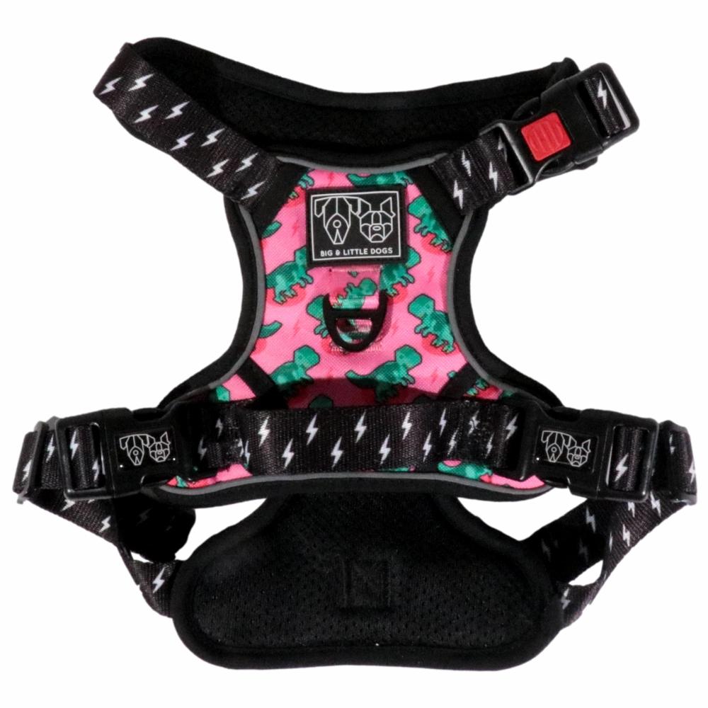 Big & Little Dogs Princess-asaurus All Rounder Harness small animal food rabbit pellets hamster food guinea pig snacks small pet mix
