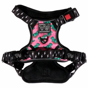 Big & Little Dogs Princess-asaurus All Rounder Harness small animal food rabbit pellets hamster food guinea pig snacks small pet mix
