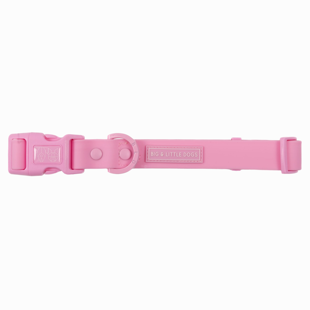 Big & Little Dogs Waterproof Dog Collar - Pink small animal food rabbit pellets hamster food guinea pig snacks small pet mix