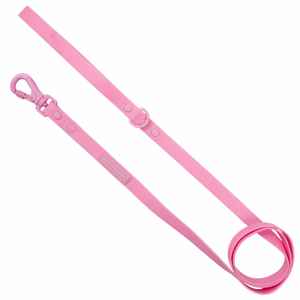 Big & Little Dogs Waterproof Leash - Pink small animal food rabbit pellets hamster food guinea pig snacks small pet mix