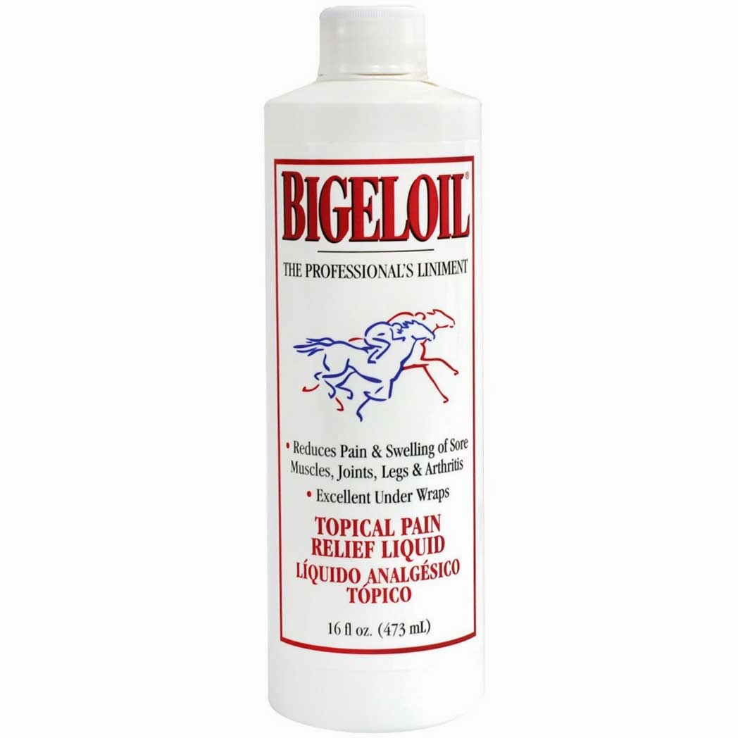 Bigeloil 16 oz. kitten treats kitten wet food kitten brush kitten bottle kitten harness