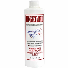 Bigeloil 16 oz. kitten treats kitten wet food kitten brush kitten bottle kitten harness