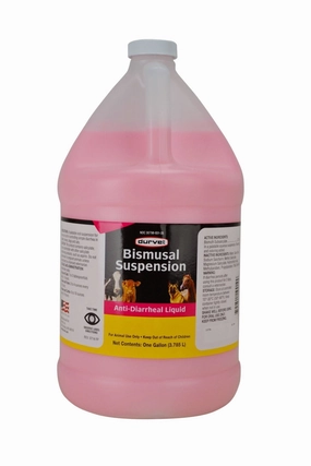 Bimusal Anti-Diarrheal Suspension, Gallon wet cat food canned food for cats gravy cat cans soft texture cat food wet pouches