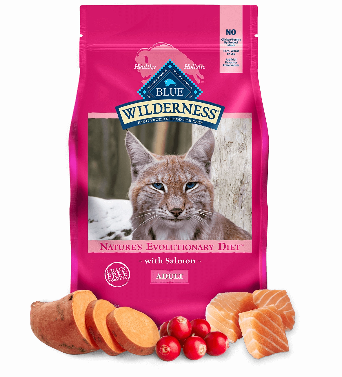 Blue Buffalo Wilderness Grain Free Salmon Recipe Dry Cat Food cat supplies cat house cat tree cat feeder cat collar