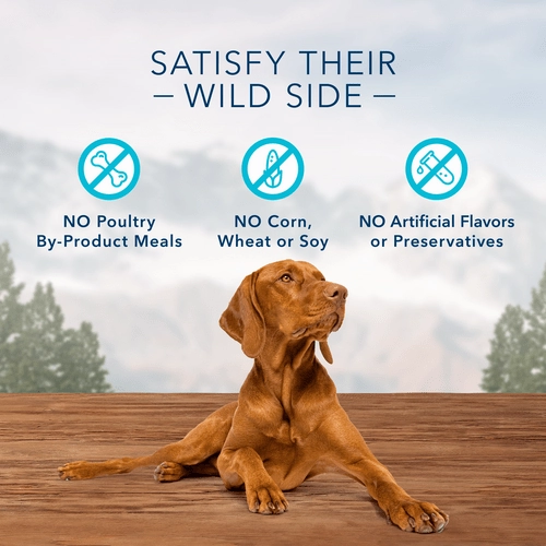 BLUE Wilderness Trail Treats Grain Free Biscuits; Turkey Recipe