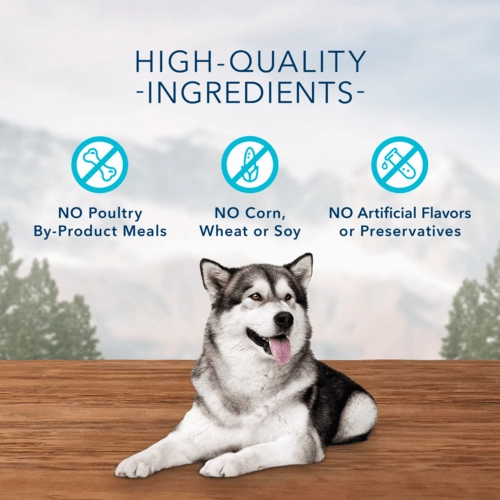 BLUE Wilderness Trail Treats Wild Bits Salmon Recipe Dog Training Treats