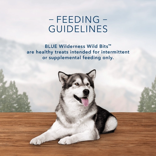 BLUE Wilderness Trail Treats Wild Bits Salmon Recipe Dog Training Treats
