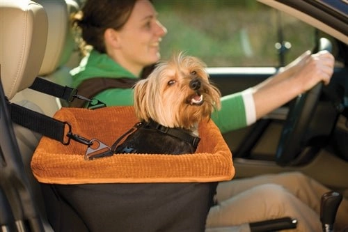 Booster Seat - Skybox - Black-Orange