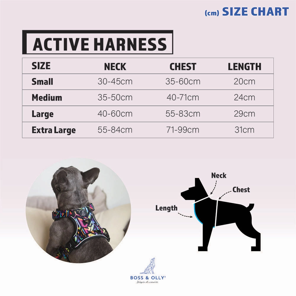 Boss & Olly Active Dog Harness (Aztec Rainbow)