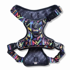 Boss & Olly Active Dog Harness (Aztec Rainbow) grain free dog food natural dog biscuits high protein dog food dog food pack dog meat sticks
