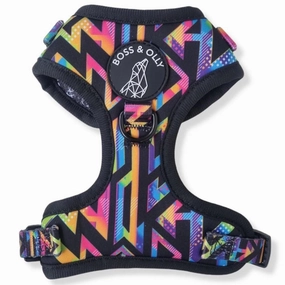 Boss & Olly Adjustable Dog Harness (Aztec Rainbow) puppy food dog jerky treats dog dental treats dog chicken strips organic dog food