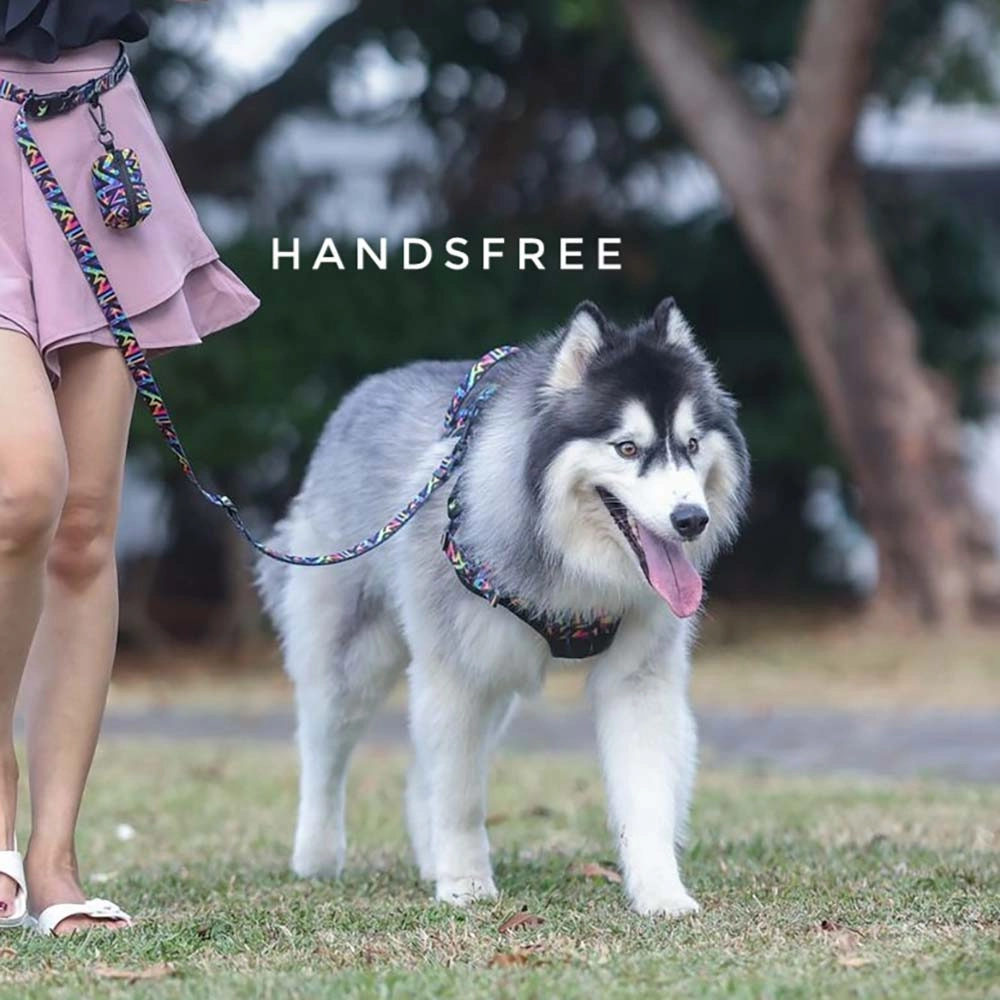 Boss & Olly Convertible Multi-Functional Dog Leash (Midnight Dreams)