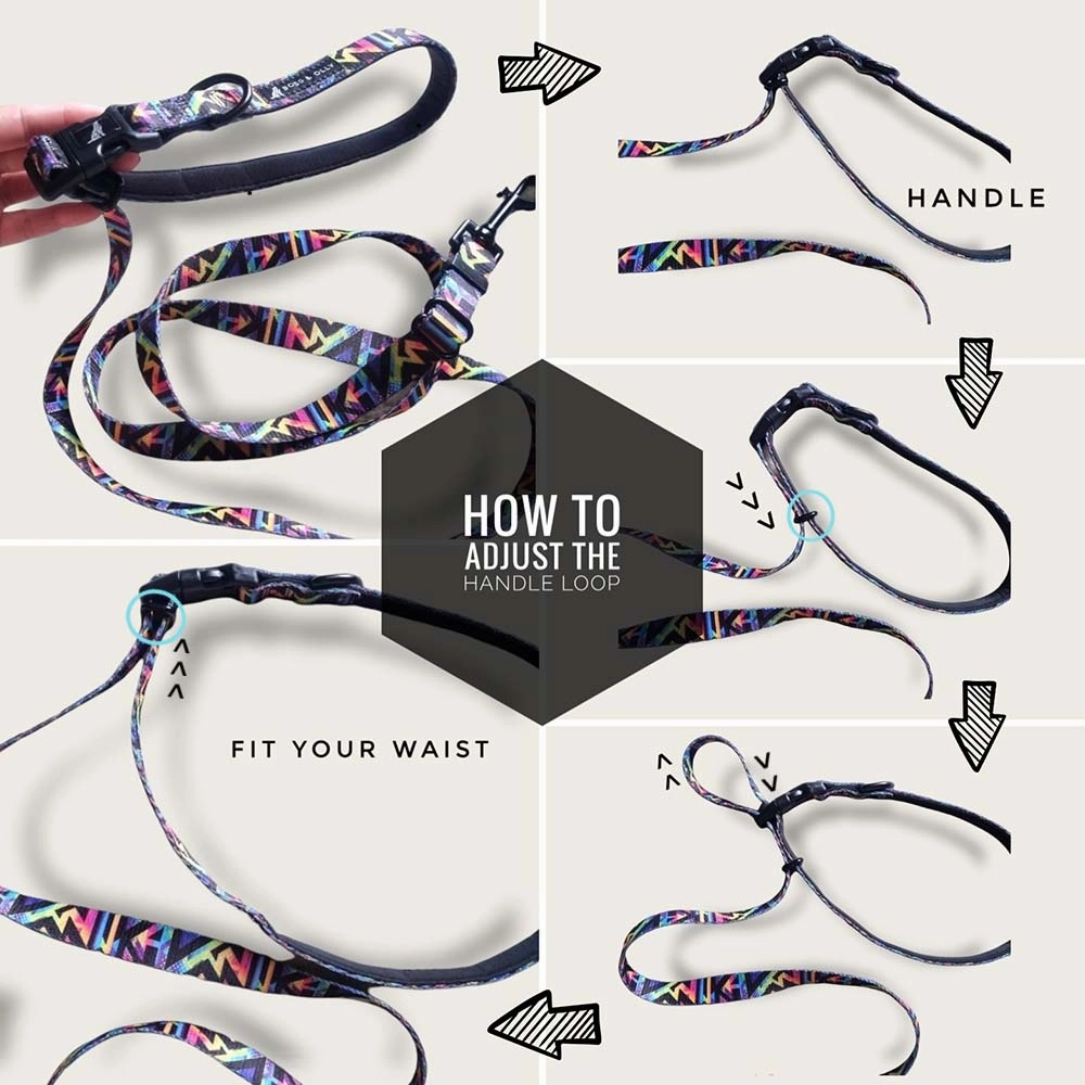Boss & Olly Convertible Multi-Functional Dog Leash (Midnight Dreams)