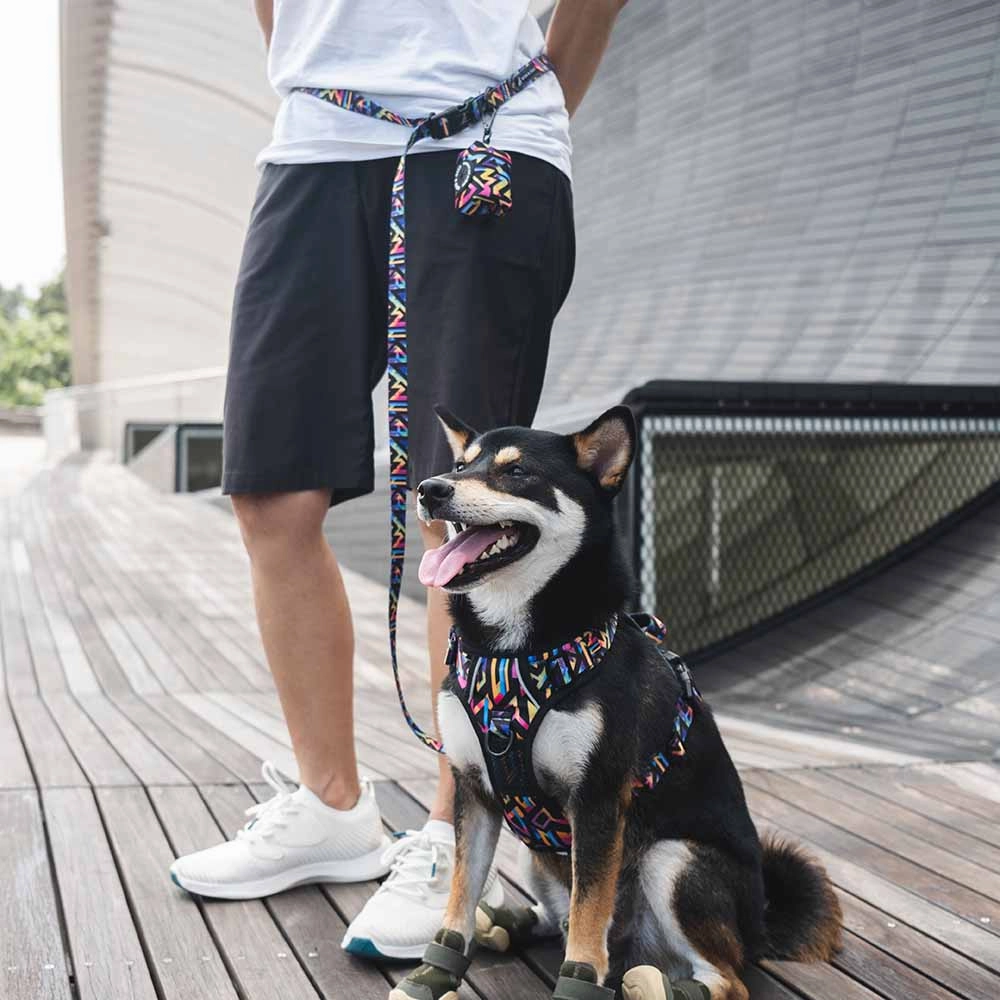 Boss & Olly Convertible Multi-Functional Dog Leash (Midnight Dreams)