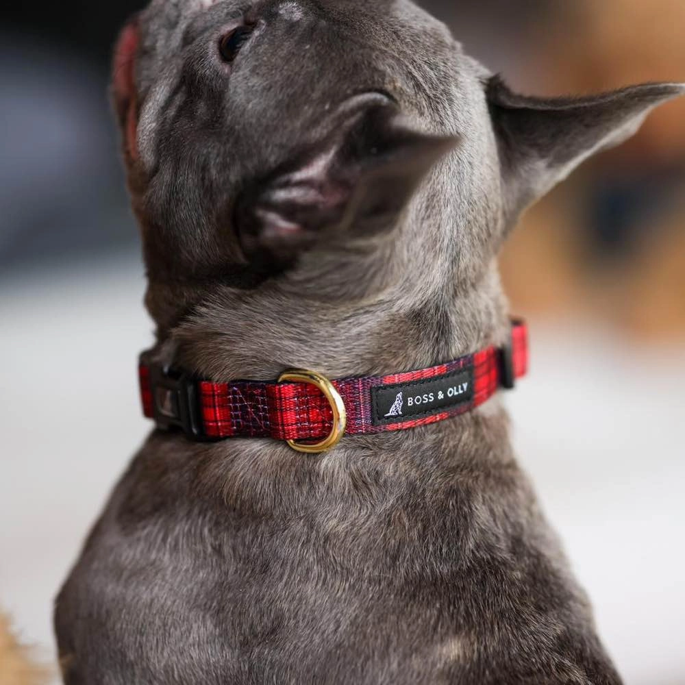 Boss & Olly Dog Collar (Lumberjack Plaids)
