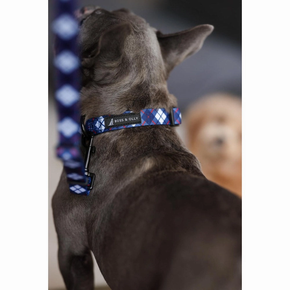 Boss & Olly Dog Collar (Nautical Plaids)