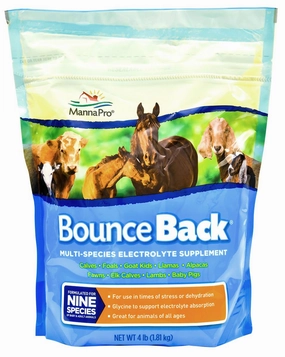 Bounce Back Multi-Species Electrolyte Supplement tuff dog toys durable toys for dogs chew tested toys hard chew toy strong plush