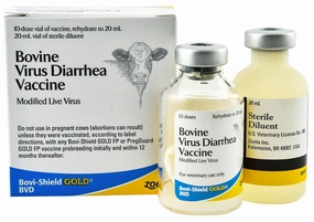 Bovi-Shield Gold BVD Cattle Vaccine sheep feed sheep mineral sheep hay sheep pellets sheep salt block