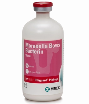Bovilis Piliguard Pinkeye Cattle Vaccine sheep feed sheep mineral sheep hay sheep pellets sheep salt block