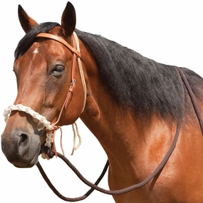 Breaking Hackamore Bridle for Horses cat fur care cat grooming tools cat deshedding brush cat bath kit cat nail trimmer