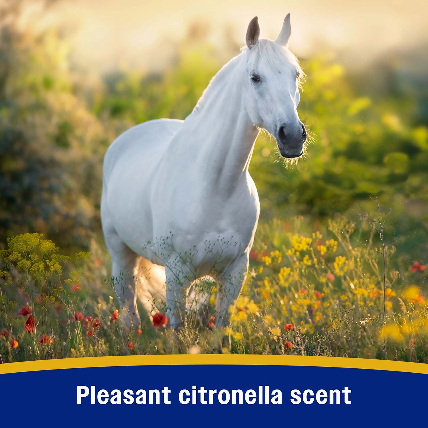 Bronco e Equine Fly Spray