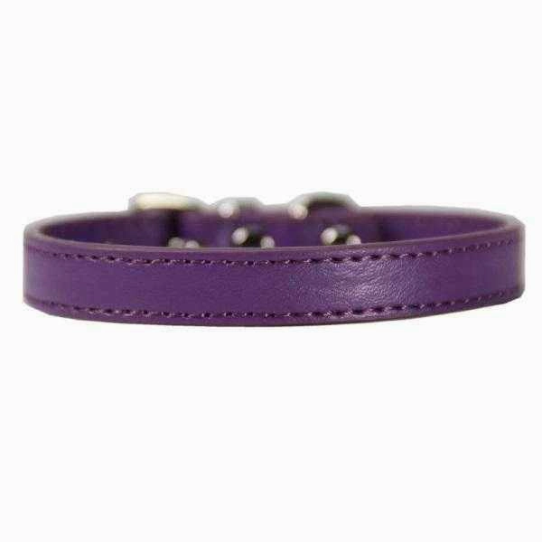 Buckle Dog Collar