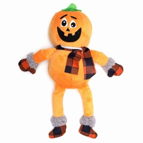 Buffalo Pumpkin Dog Toy treats for dogs dog biscuits dog reward treats organic dog snacks natural dog biscuits
