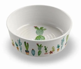 Cactus Pet Bowl cat beds cat scratching post cat shampoo cat tunnel cat brush
