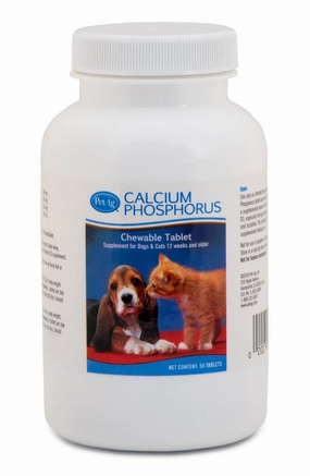 Calcium Phosphorus Tablets cat beds cat scratching post cat shampoo cat tunnel cat brush