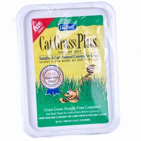 Cat Grass Plus cat grooming cat shampoo cat conditioner cat comb cat grooming glove