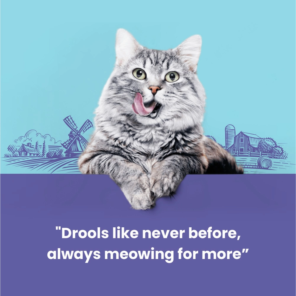 Catfest Duck Meat Sticks Cat Treats