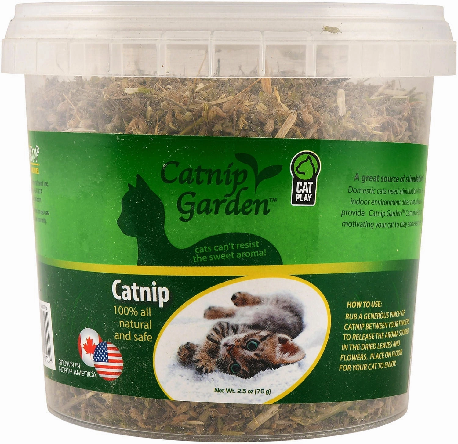Catnip Garden Catnip