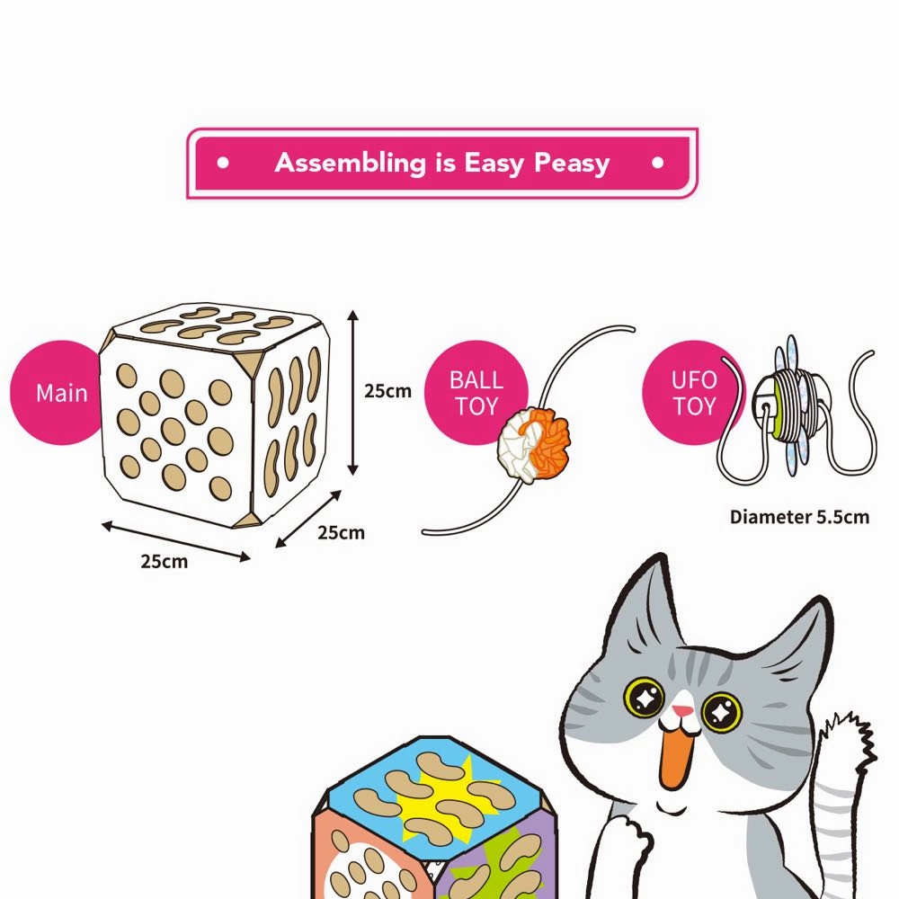 CattyMan Cat Crazy Box Cat Toy