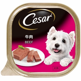 Cesar Beef Pate Tray Dog Food 100g dog toys interactive dog toy plush dog toy dog rope toy squeaky toy