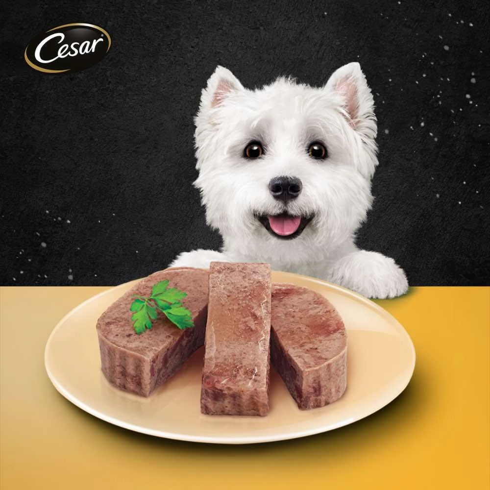 Cesar Chicken Pate Tray Dog Food 100g