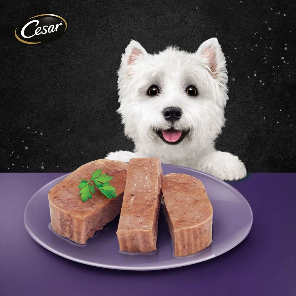 Cesar Lamb Pate Tray Dog Food 100g