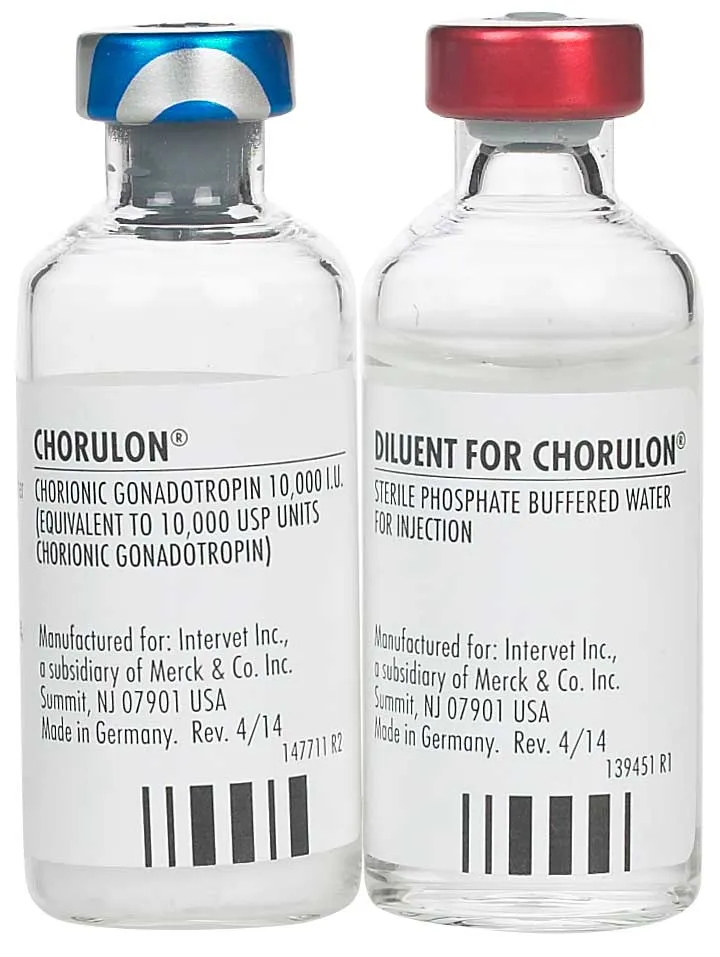 Chorulon HCG Injection for Cattle