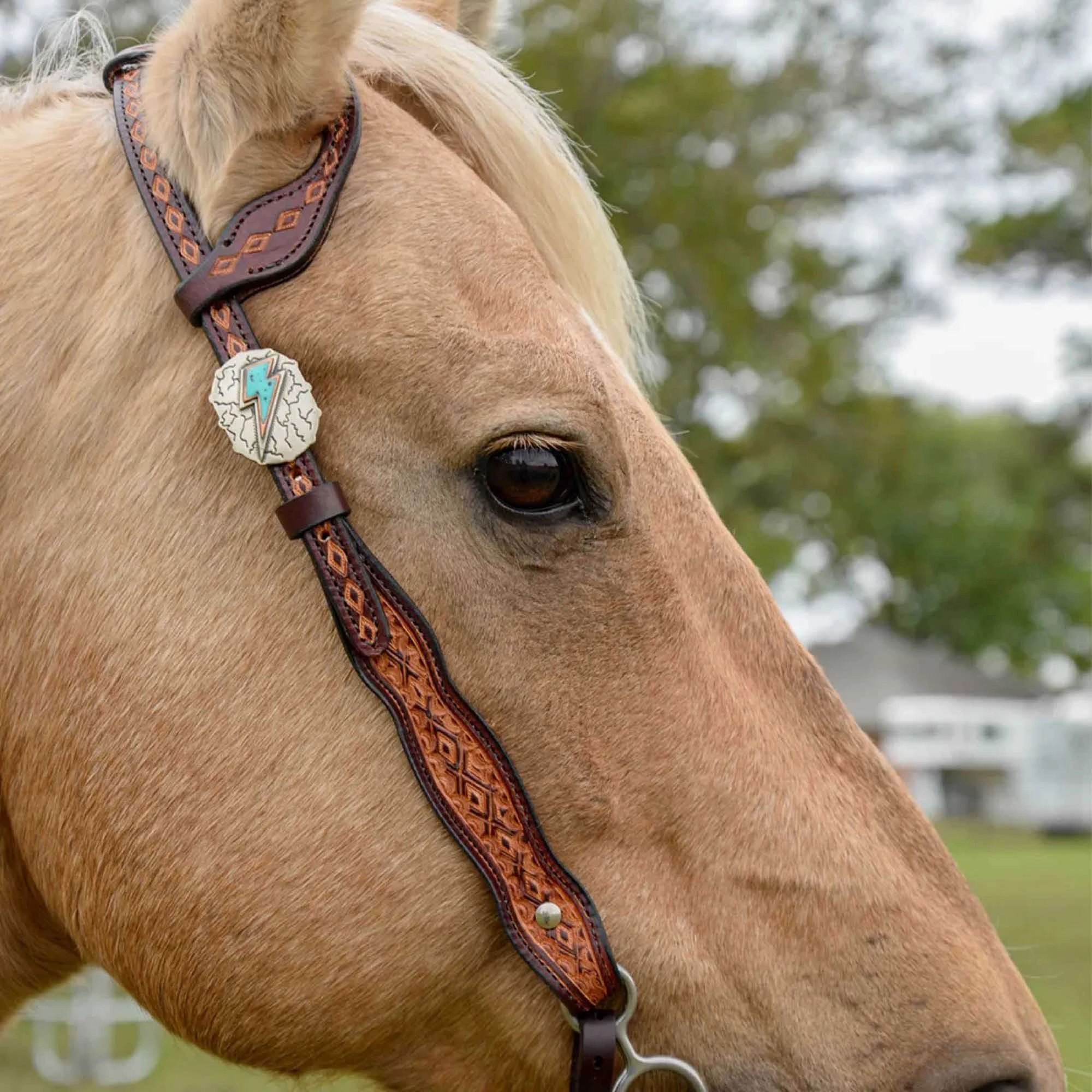Circle Y Montana One Ear Headstall, Full