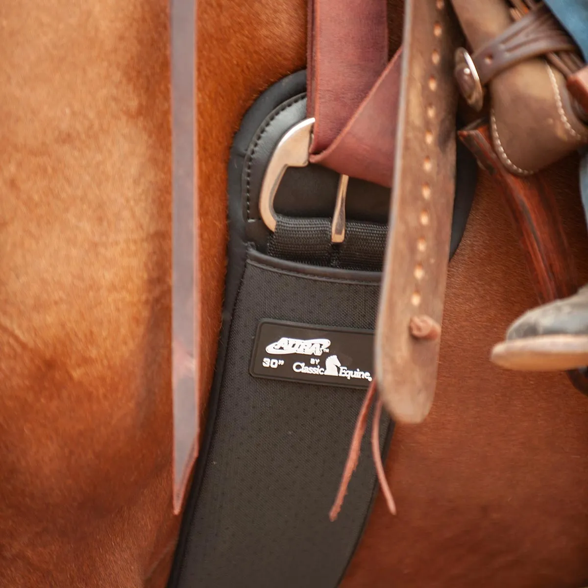 Classic Equine Aura Neoprene Straight Cinch with Stainless Steel Hardware