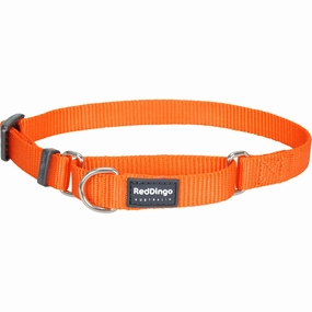 Classic Orange Martingale dog leash harness set dog leash clip rope dog leash retractable leash