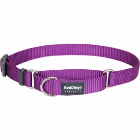 Classic Purple Martingale dog leash harness set dog leash clip rope dog leash retractable leash