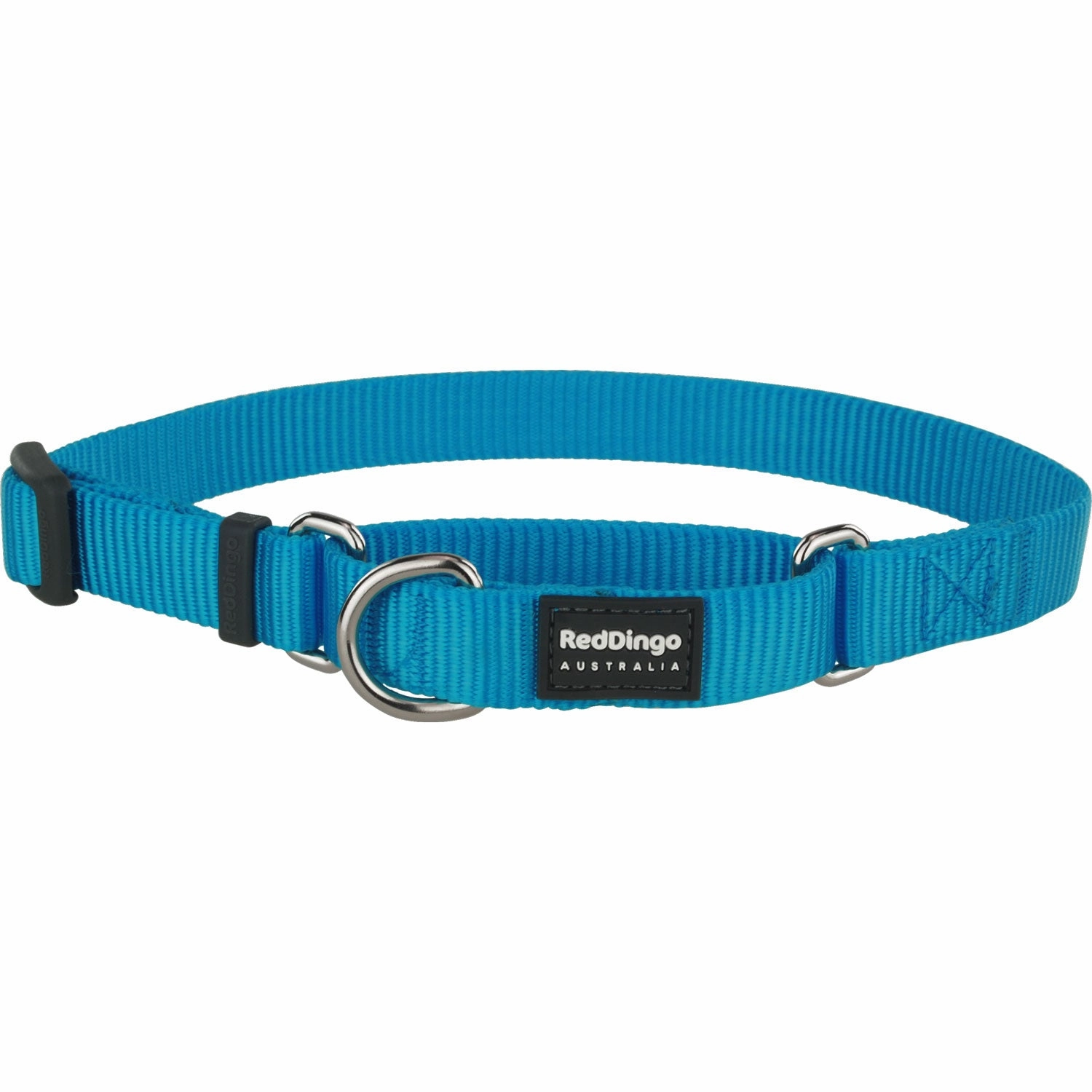 Classic Turquoise Martingale dog leash harness set dog leash clip rope dog leash retractable leash
