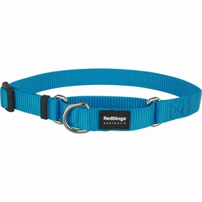 Classic Turquoise Martingale dog leash harness set dog leash clip rope dog leash retractable leash