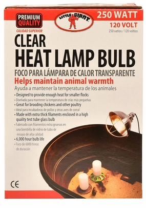 Clear Heat Lamp Bulb, 250 Watt puppy accessories new puppy gear puppy bed puppy blanket puppy grooming kit