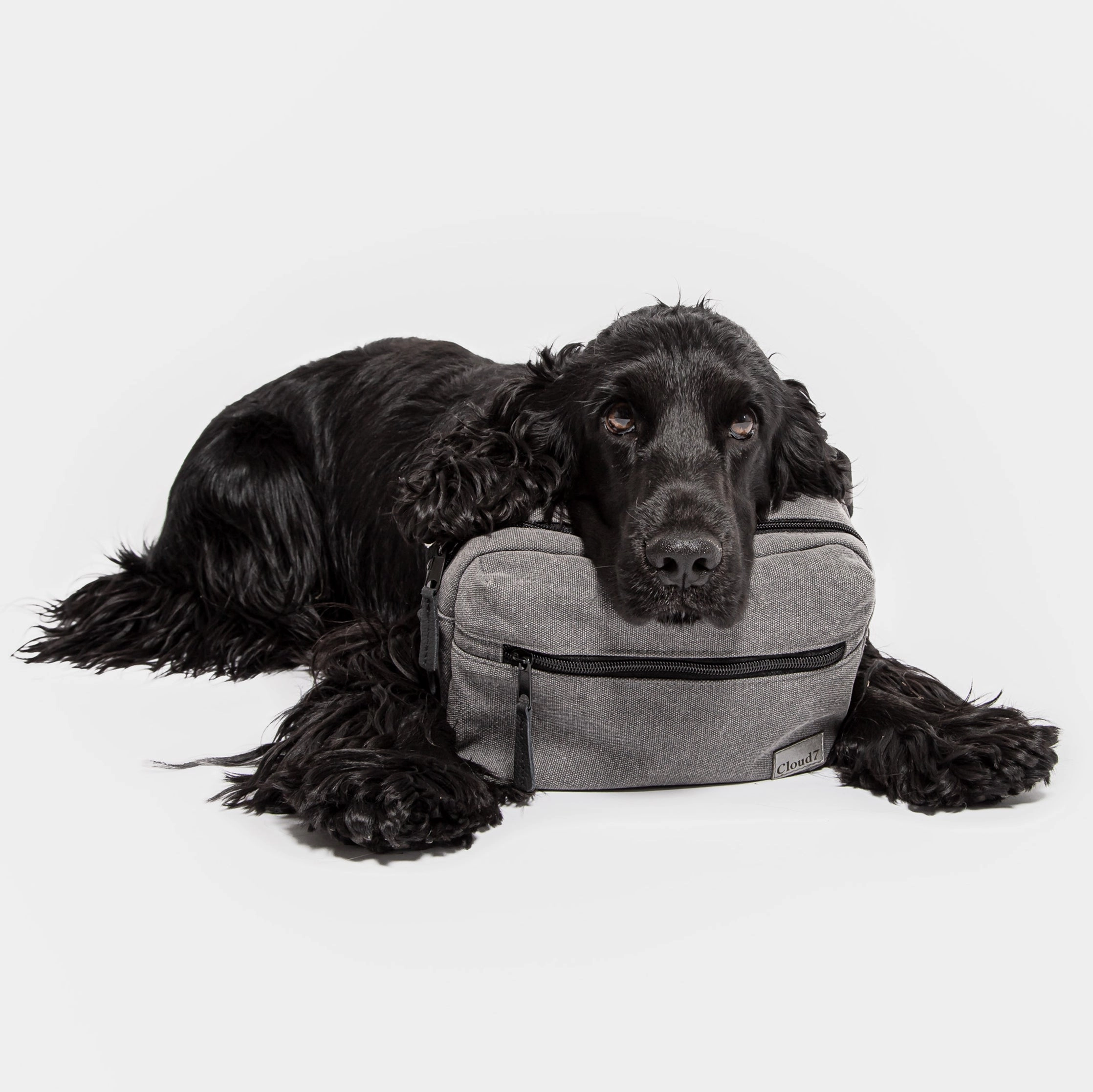 Cloud7: Belt Bag, Basalt