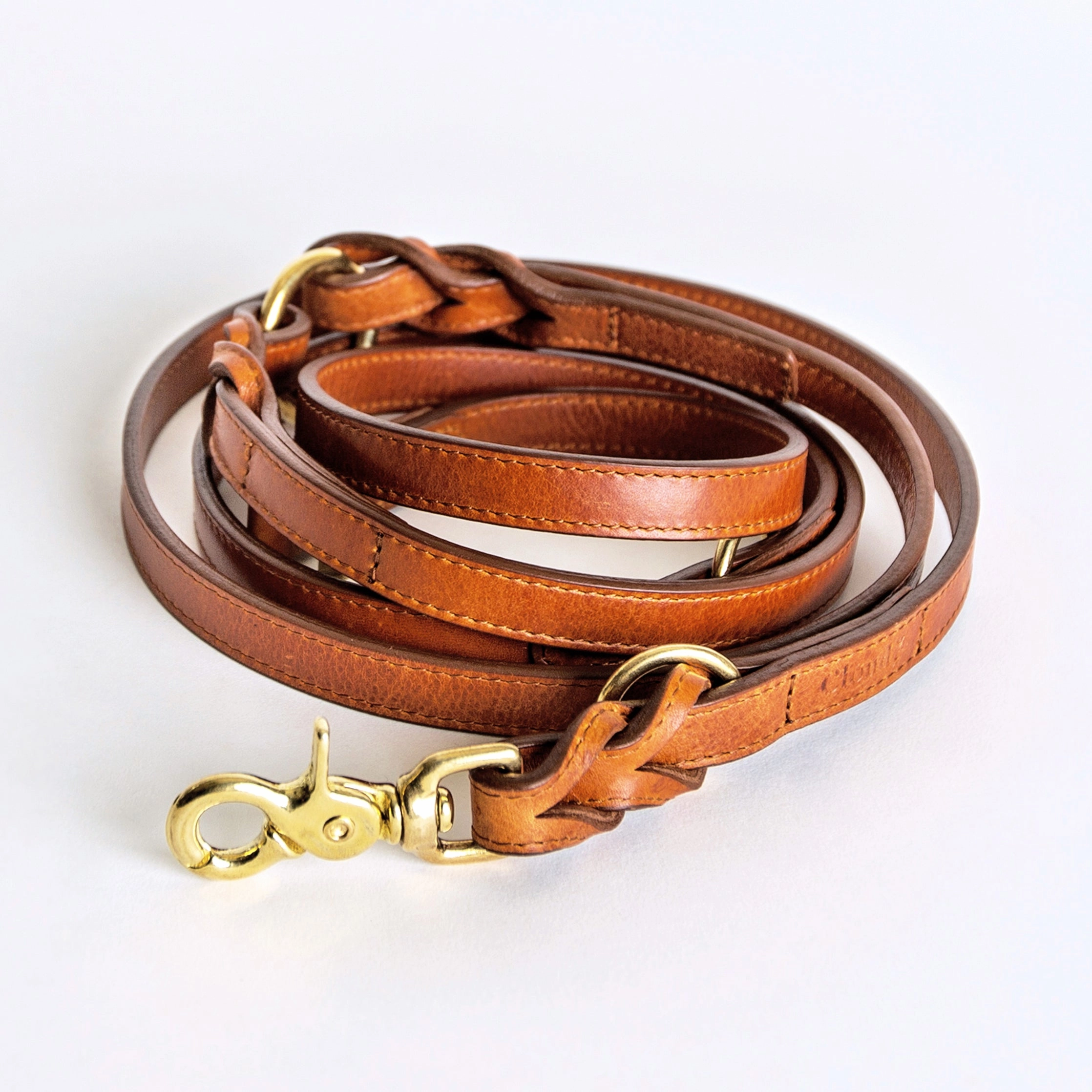 Cloud7: Hyde Park Multiway Dog Leash in Cognac