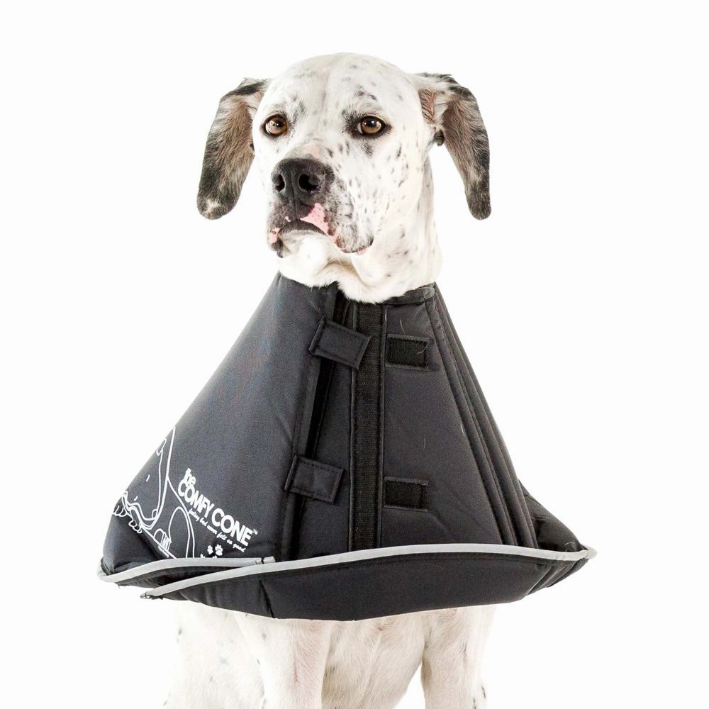 Comfy Cone Cat & Dog E-Collar cat leash cat bowtie cat hat cat bandana cat costume