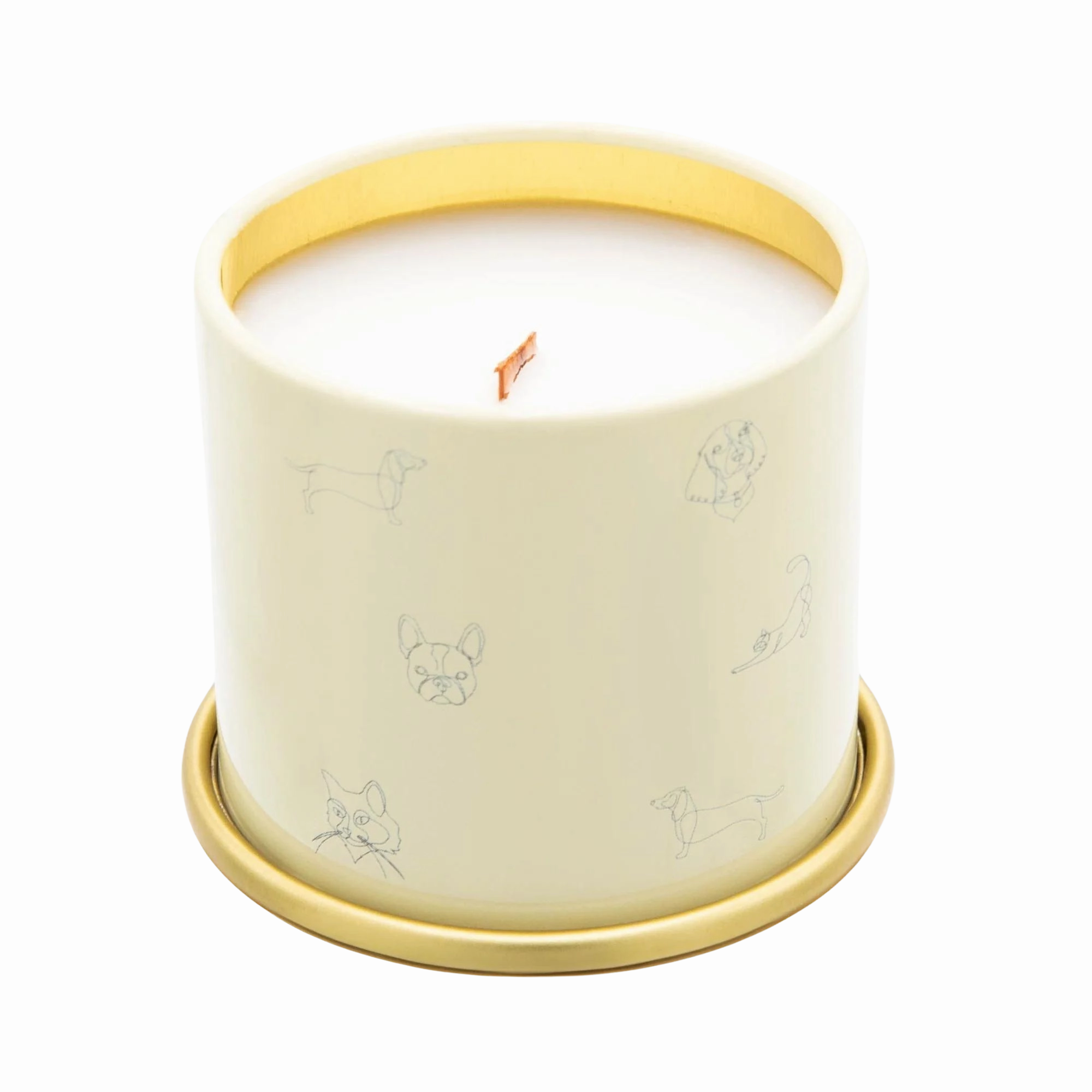 Companion Candles 3oz Mini Candle - Anywhere With You (Grapefruit/Vanilla) dog pain relief hip joint supplement senior dog care pet arthritis aid dog skin supplement