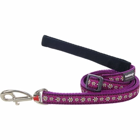 Daisy Chain Purple Dog Leash dog leash harness set dog leash clip rope dog leash retractable leash