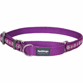 Daisy Chain Purple Martingale dog leash harness set dog leash clip rope dog leash retractable leash